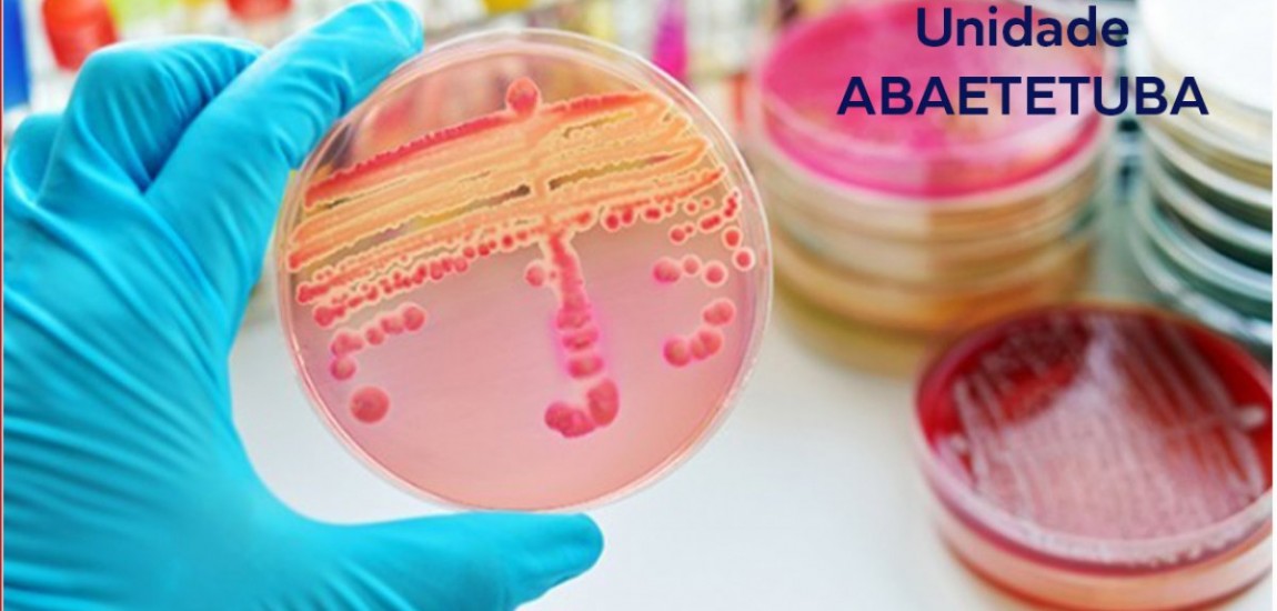 Microbiologia - Abaetetuba - Início Previsto 05/12/2020